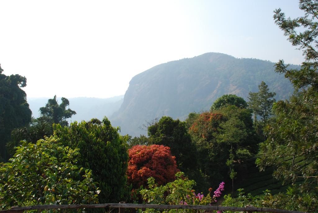 Meenmutty Heights Hotel Vaduvanchal Exterior photo